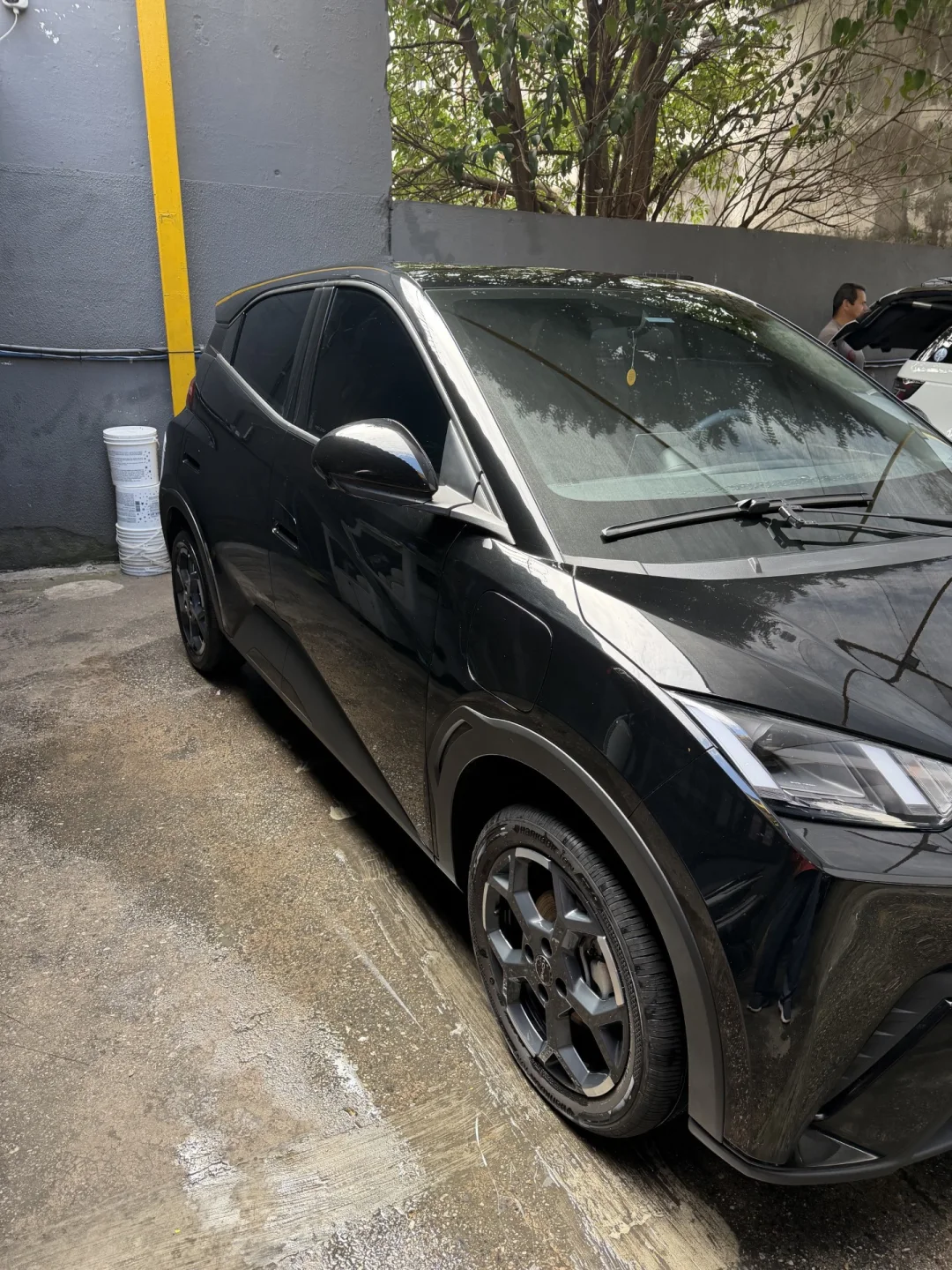 BYD DOLPHIN MINI GS 2026